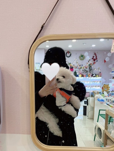 안동핑크슬라임 이미지
