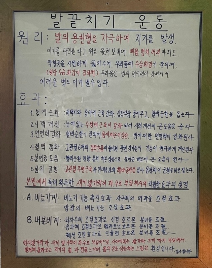 바른자세체형교정원 이미지