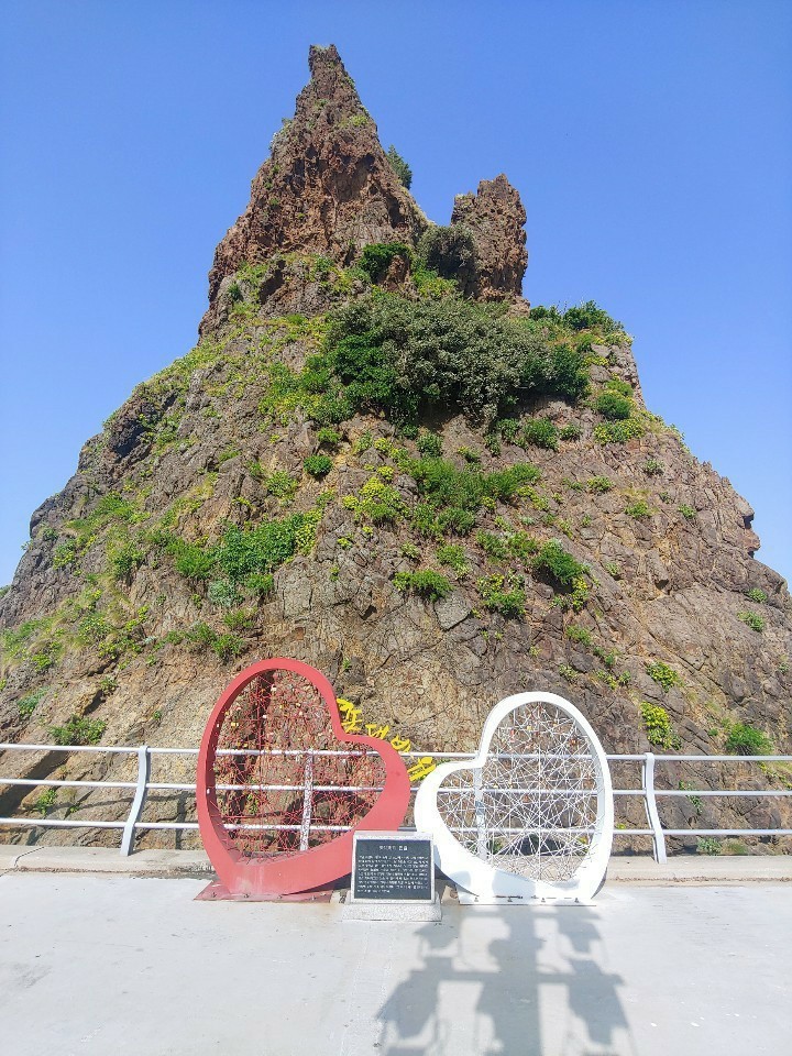 (주)정직한여행 이미지