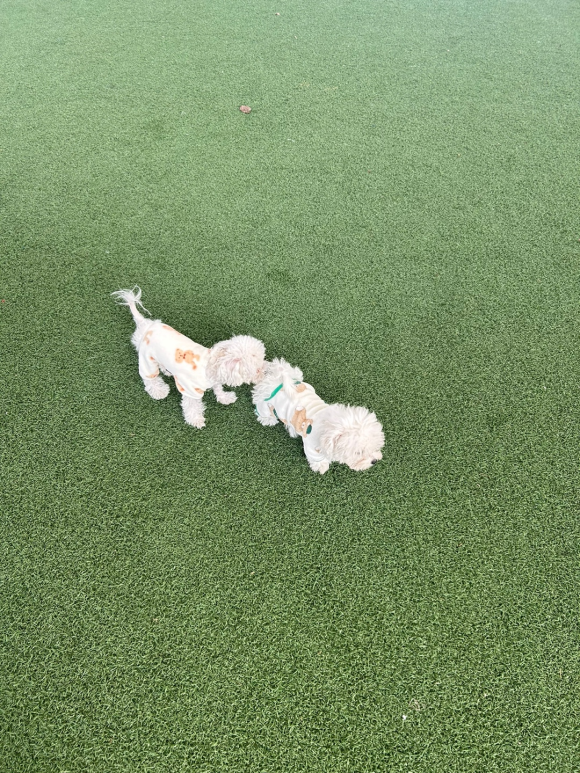 꾸름 이미지