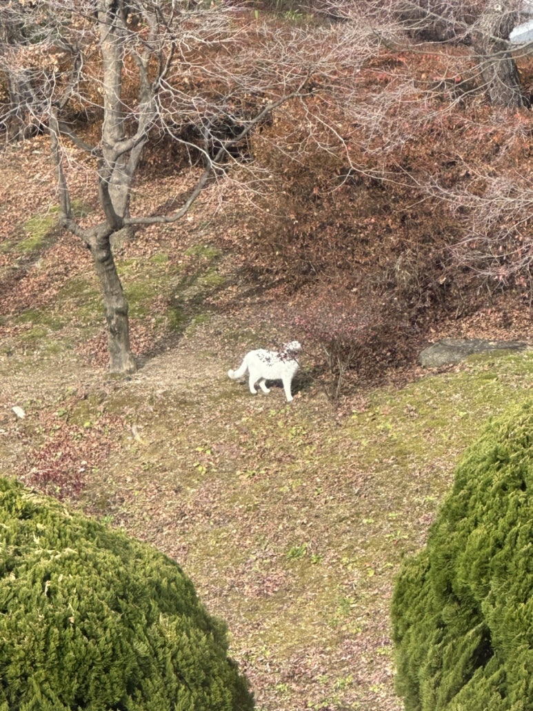 엽기떡볶이논산점 이미지