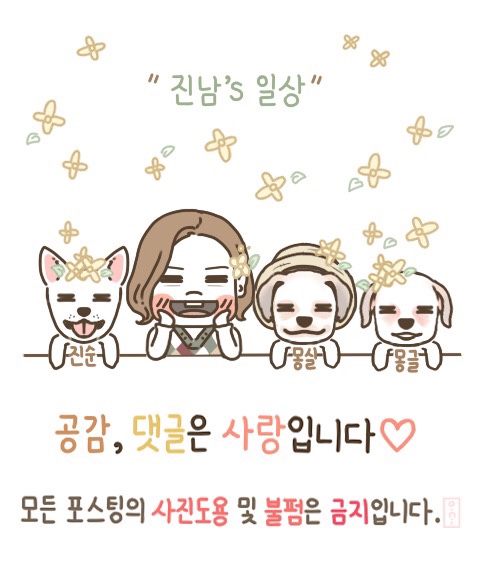 마농사진관 이미지