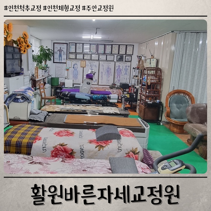 바른자세체형교정원 이미지
