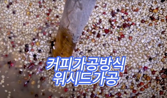 상봉서울바리스타학원 이미지