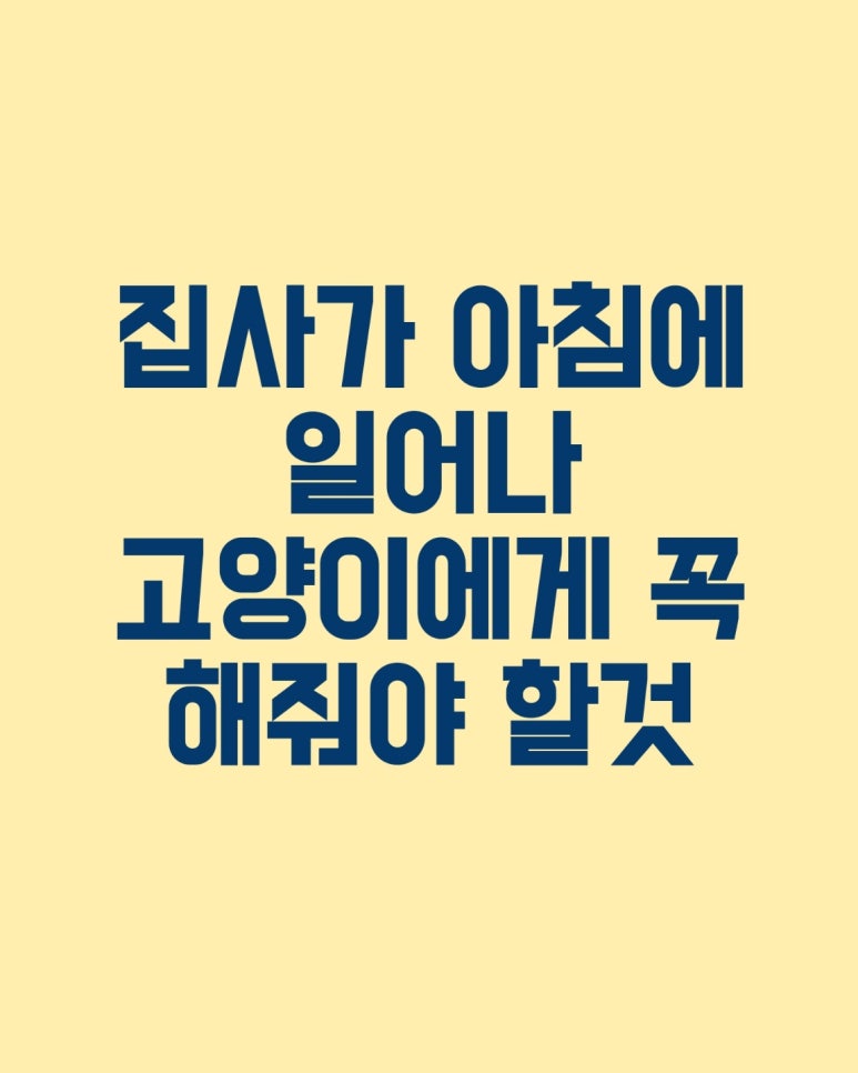 집사가 아침에 일어나 고양이에게 꼭 해줘야 할 것