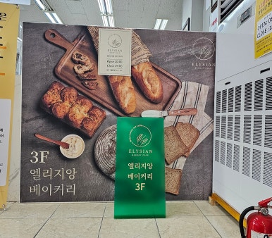 엘리지앙 이미지