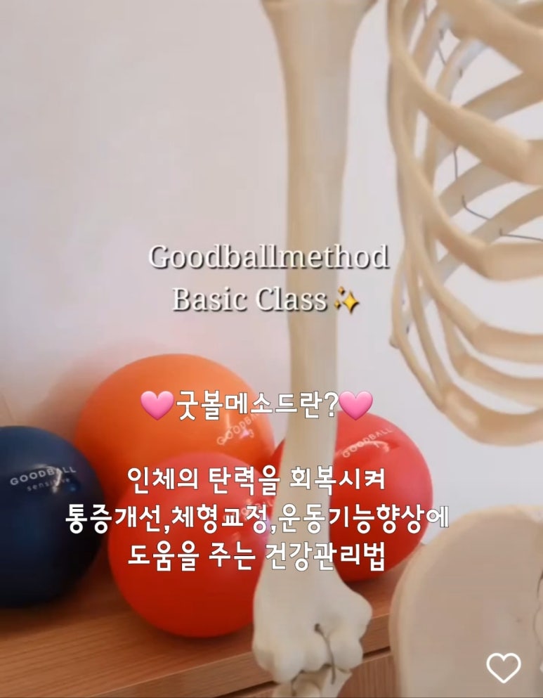 굿볼아카데미 이미지