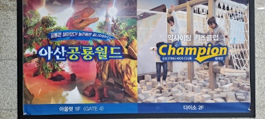 다이소아산퍼스트 이미지