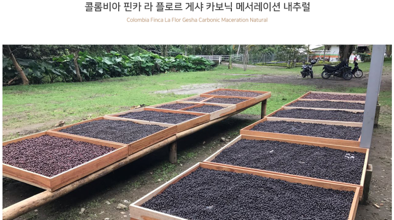 디코드커피 이미지