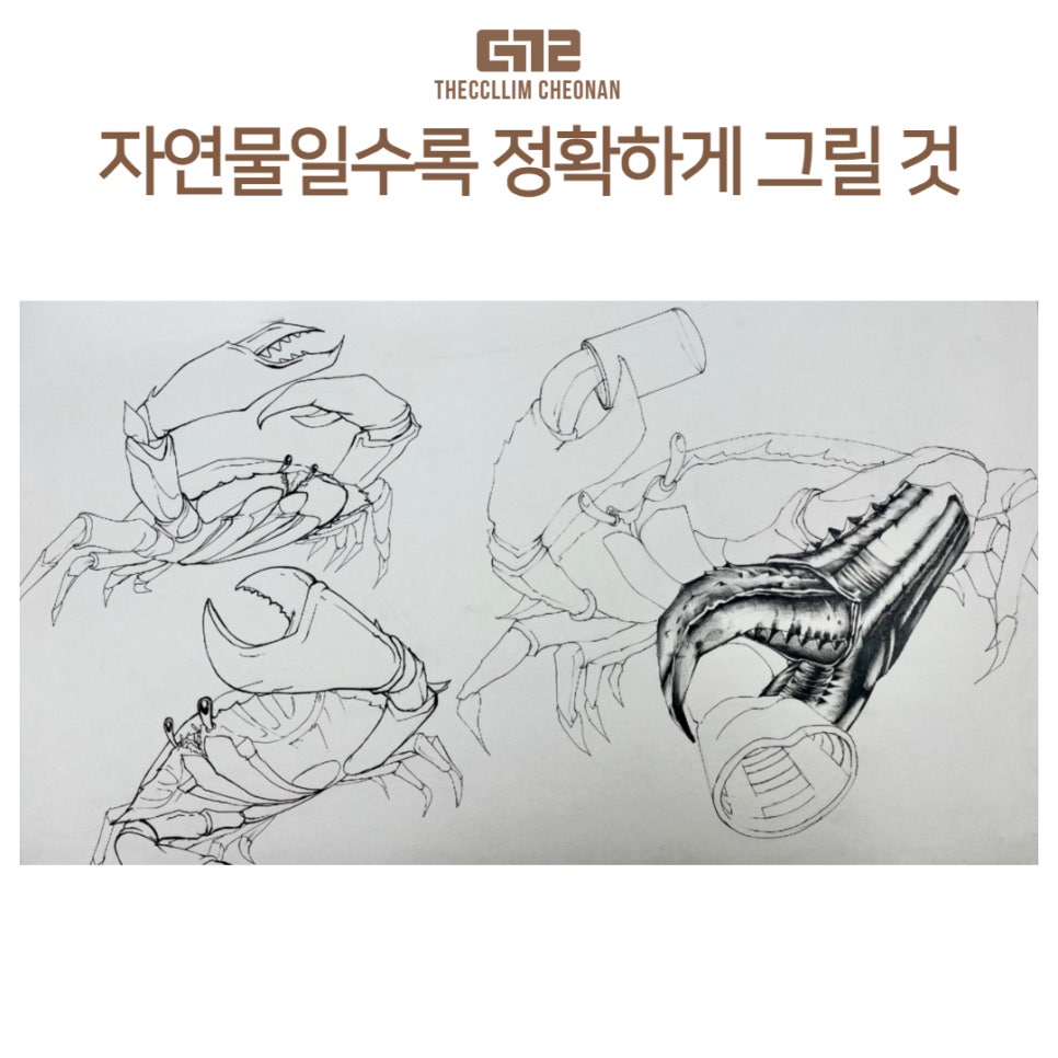 디자인끌림 이미지