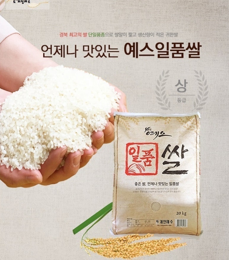 선비꼬마김밥지묘점 이미지