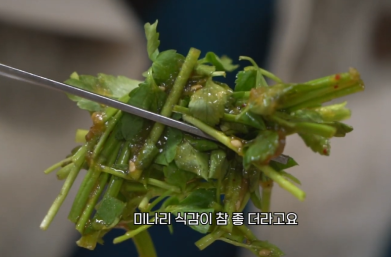여울미나리 이미지