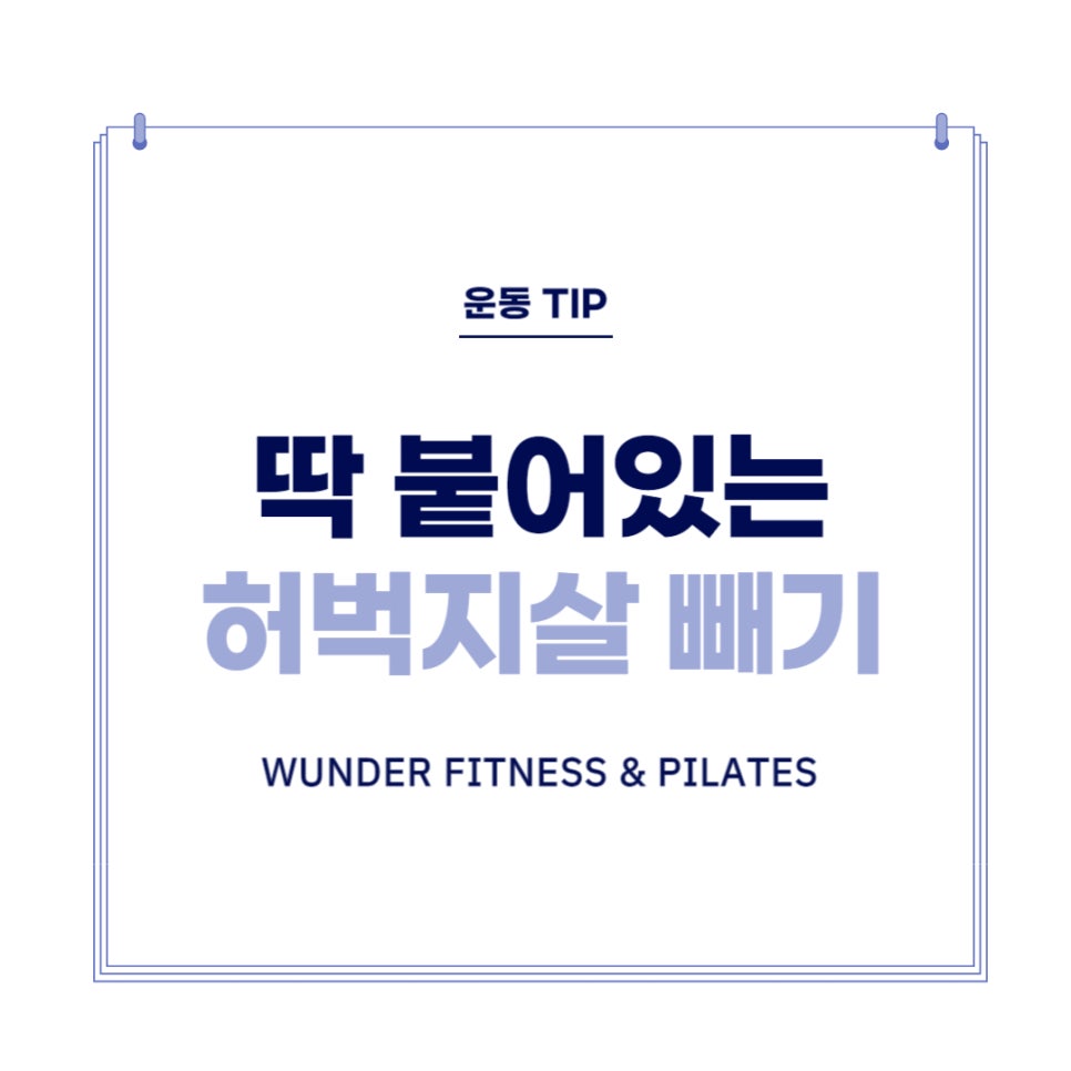 더휘트니스 이미지