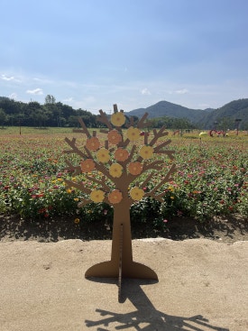 카페종이와나무 이미지