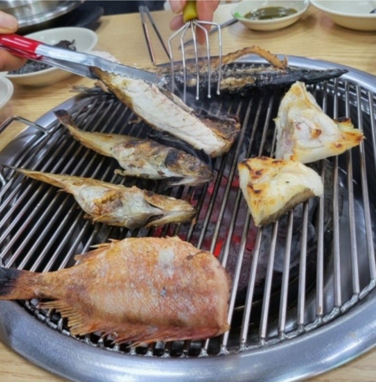 생선의민족 이미지