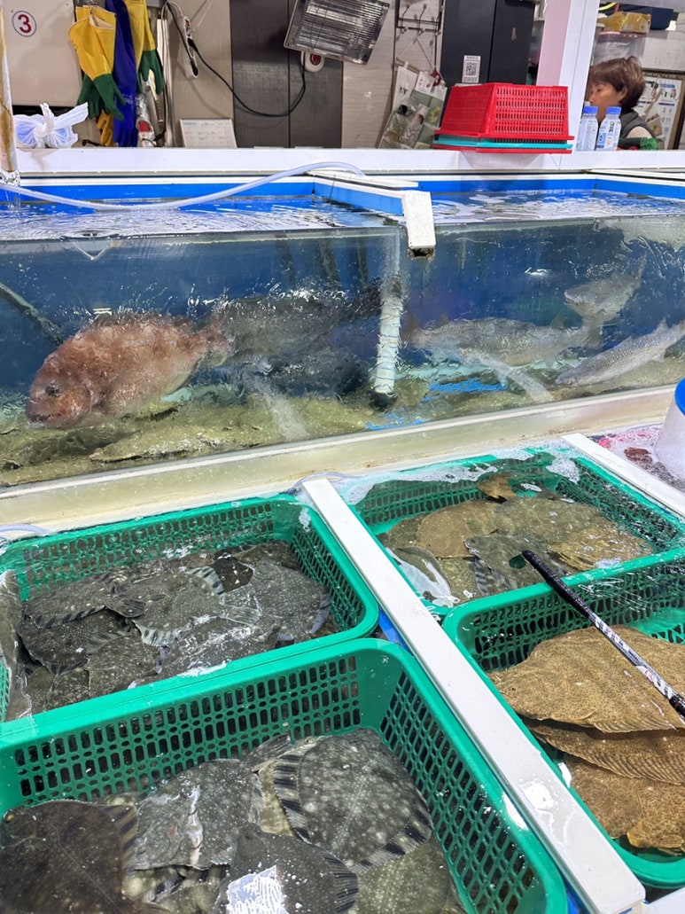 6호박리다매 이미지