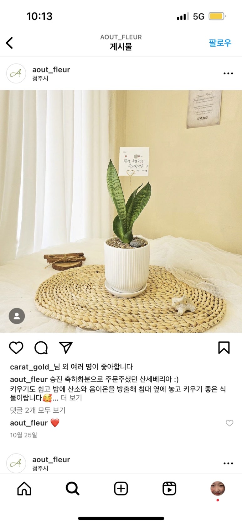 우트플레르 이미지