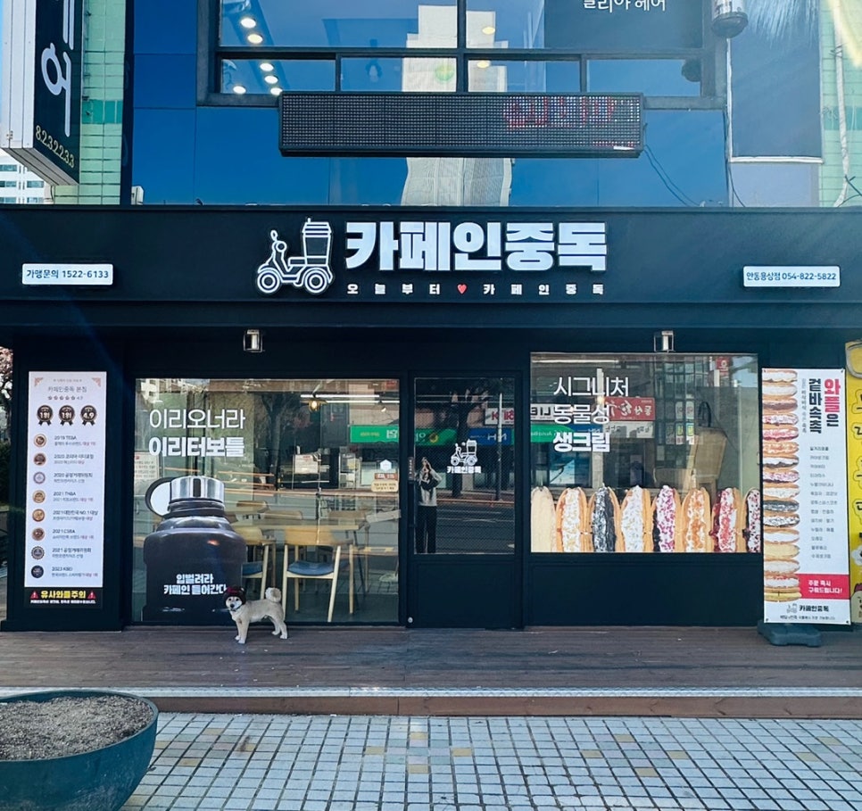 카페인중독나주 이미지