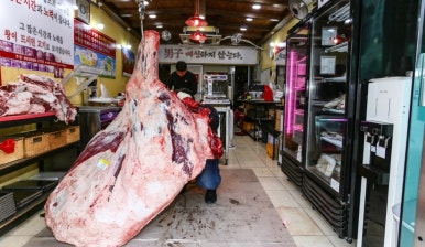 고령정육점 이미지