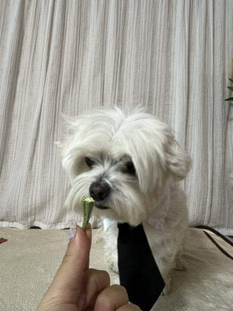 몽이1푸드 이미지