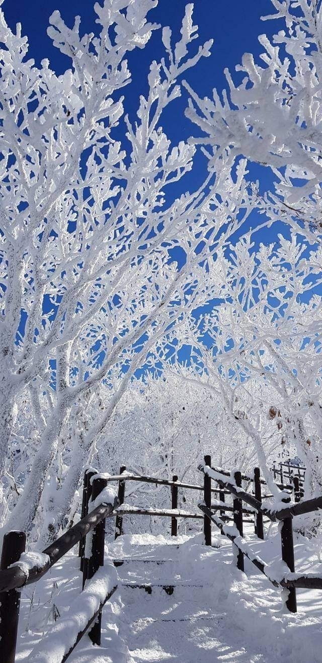 산처럼물처럼 이미지