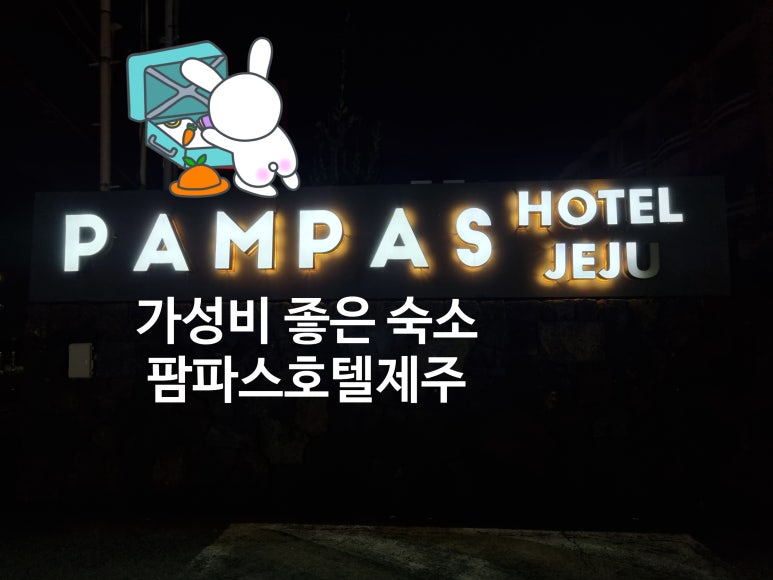 팜팜스 이미지