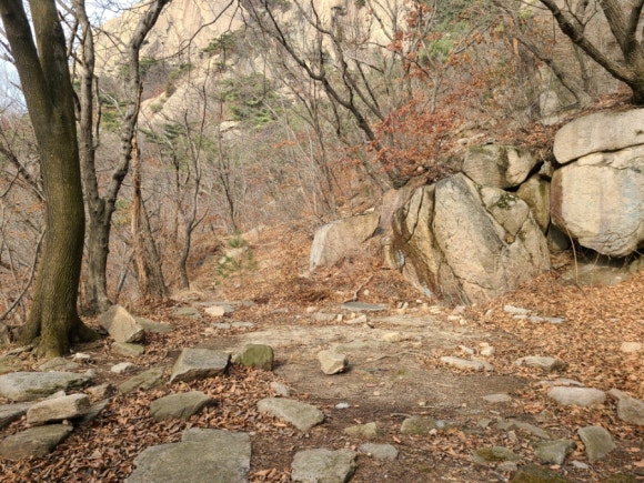 소슬락 이미지