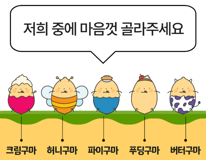 너잇템 이미지