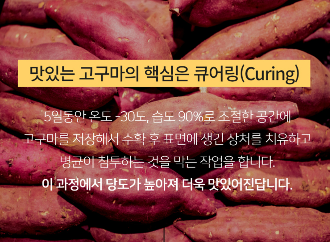 너잇템 이미지