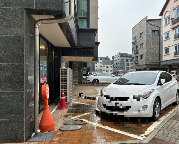 부너그 이미지