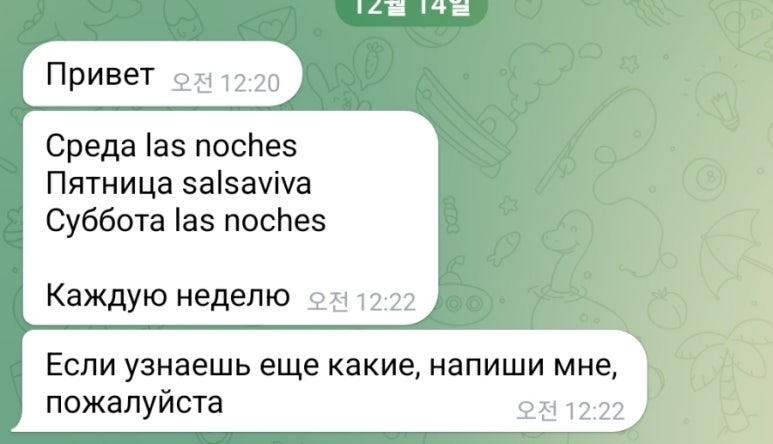 비바체스 이미지