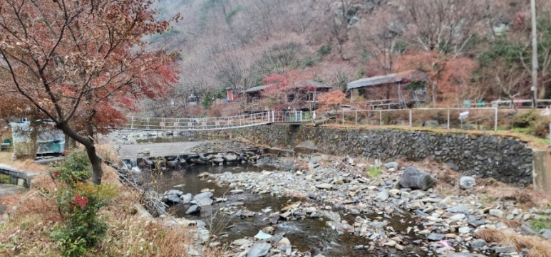 보령토굴젓갈 이미지