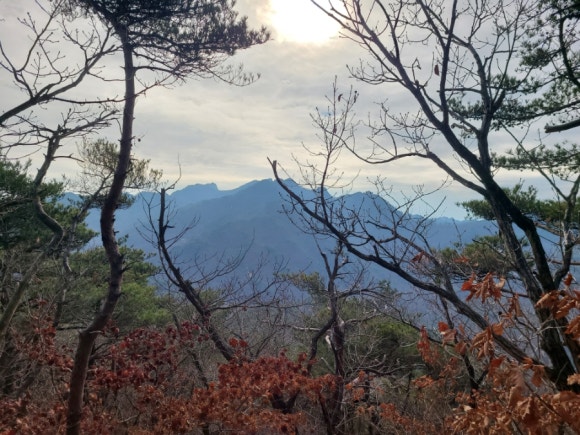 소슬락 이미지