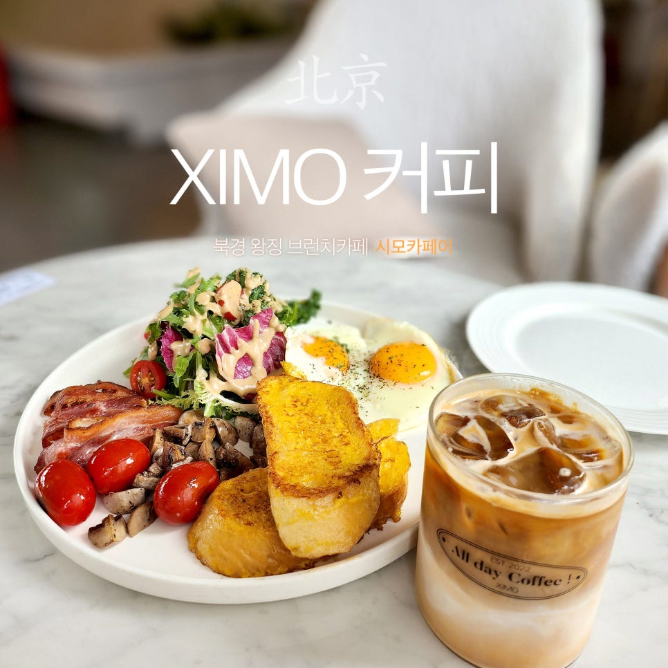 시모(XIMO) 이미지