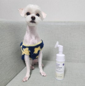 해피모꼬지 이미지