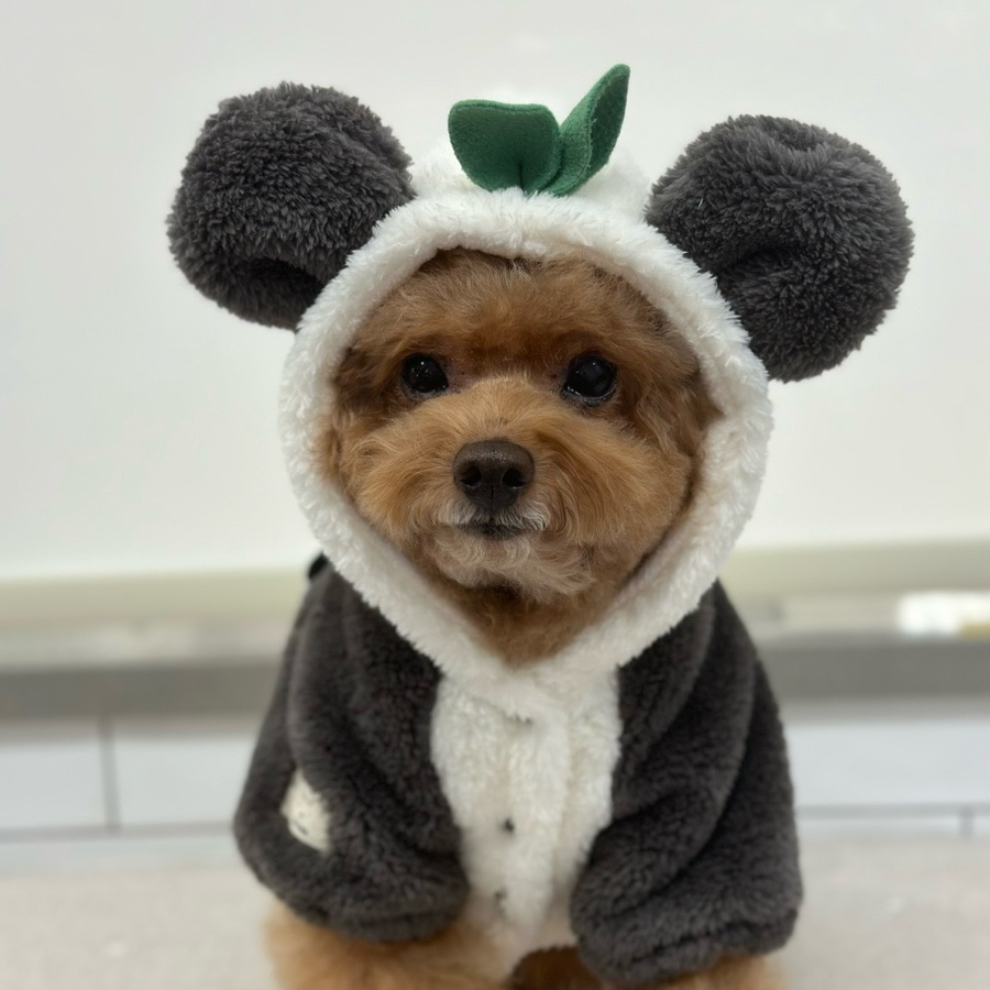 옷판다 이미지