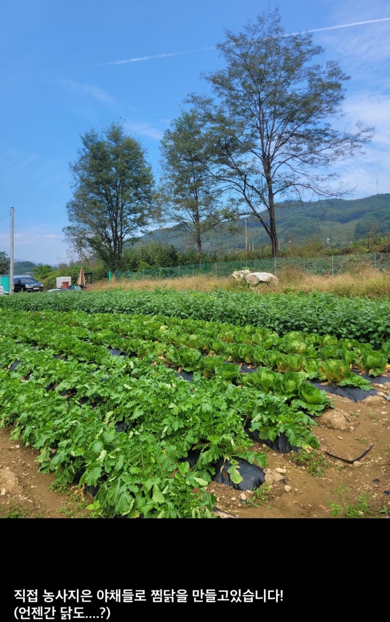 남천찜닭 이미지