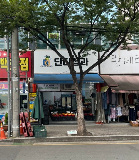 단디청과 이미지