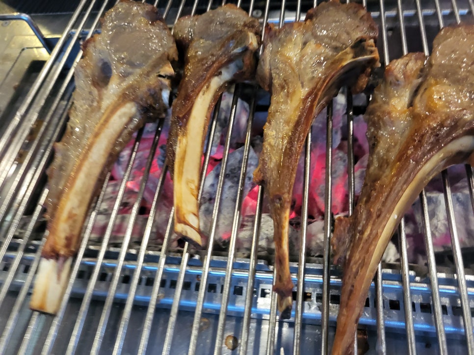 동방양고기램 이미지