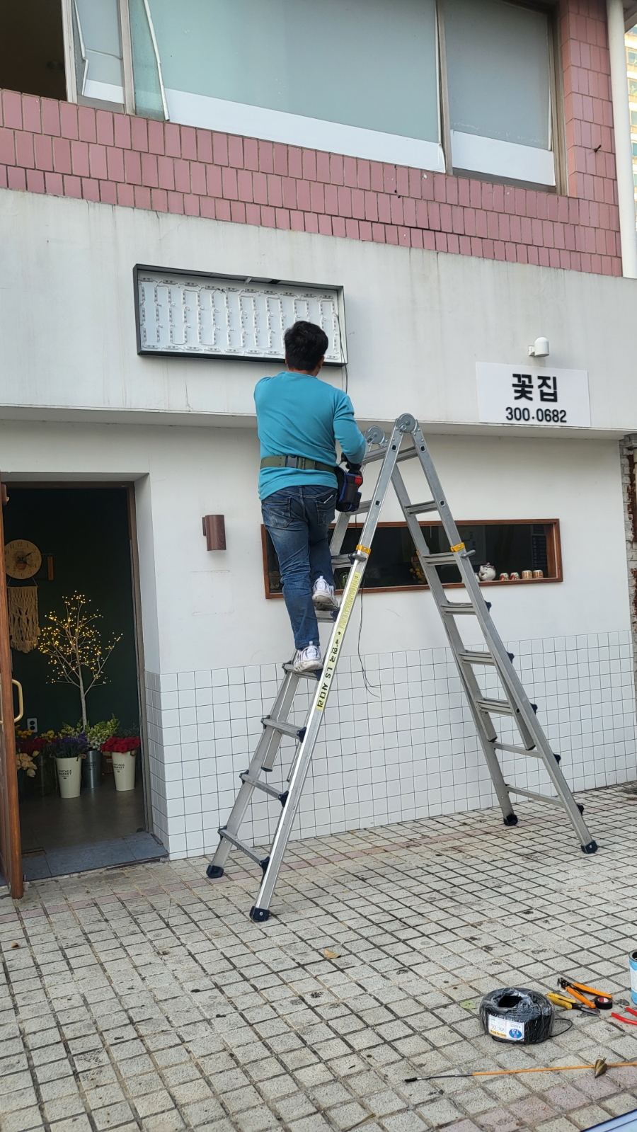 플로리포레 이미지