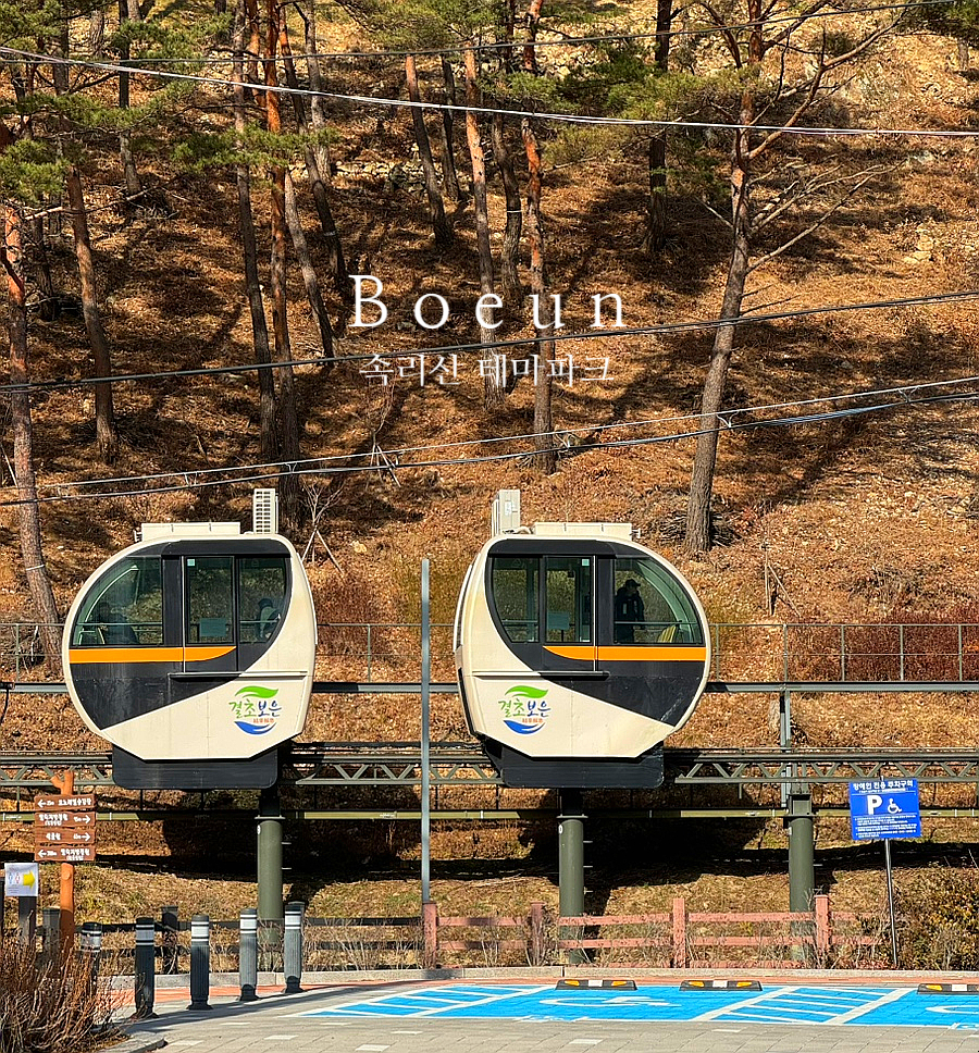 솔향공원 스카이바이크 시설 이미지