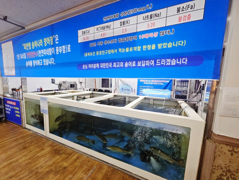 지북동송어 이미지
