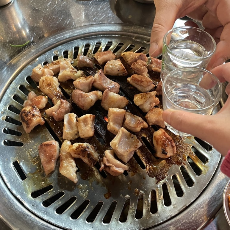 꽃돼지바람났네 이미지