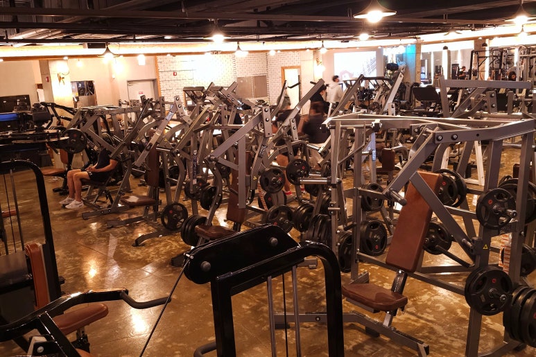 프로 애슬래틱 클럽(PRO ATHLETIC CLUB) 이미지