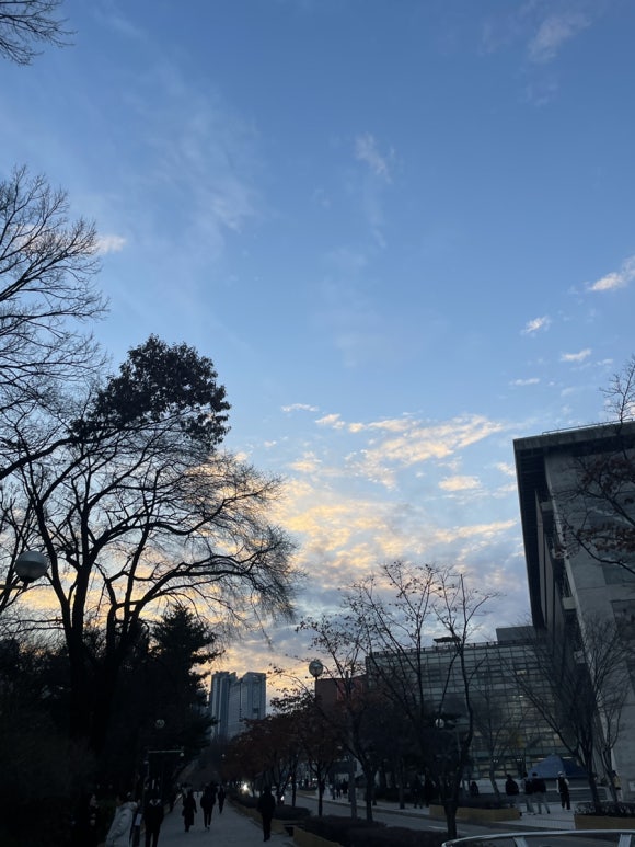 피자스쿨시립대점 이미지