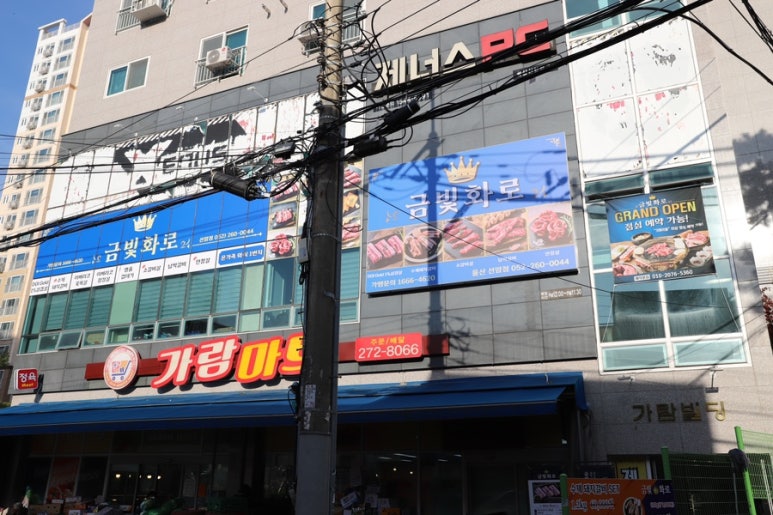금빛돼지 이미지