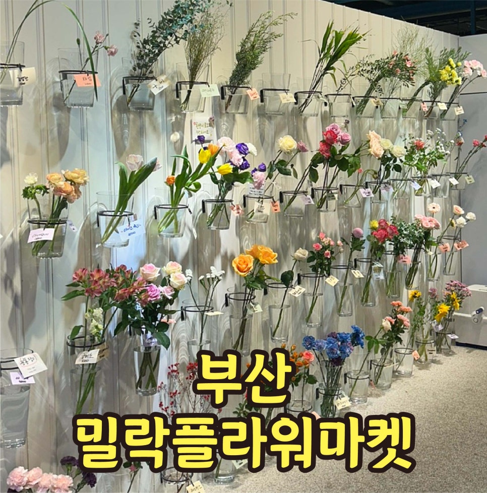 밀락플라워마켓 이미지