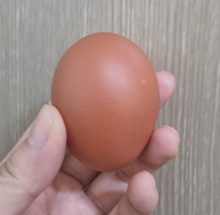 의성계란 이미지
