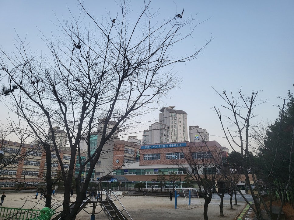 동화초등학교 이미지