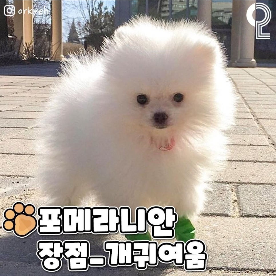 토리 이미지